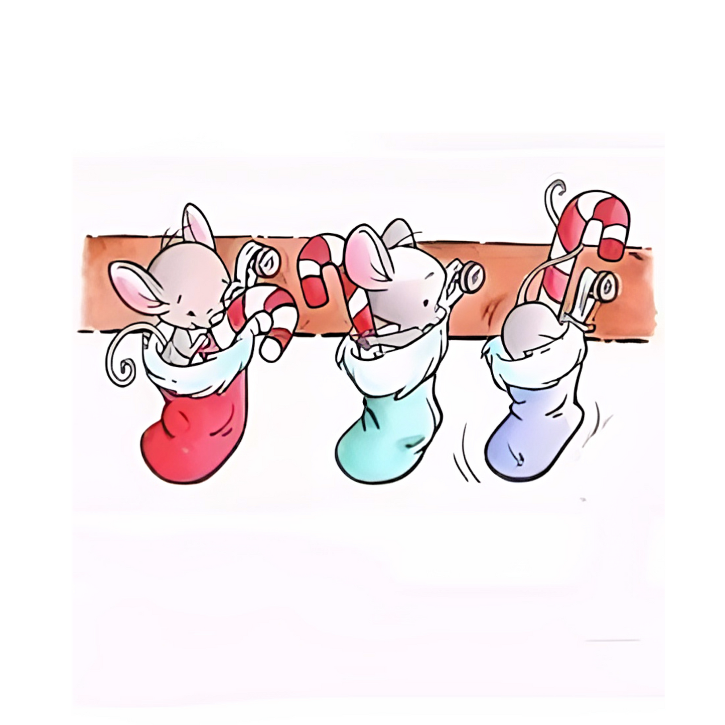 Cards C6 new