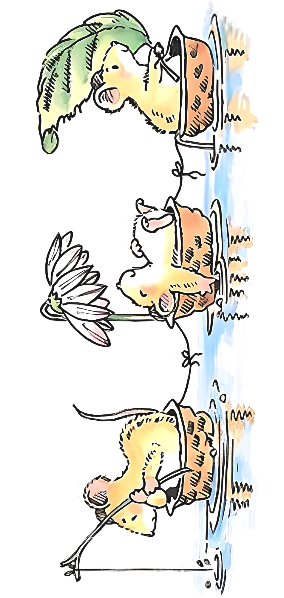 Cards 210*100