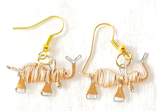 Jewellery-Earrings Wire wrapped