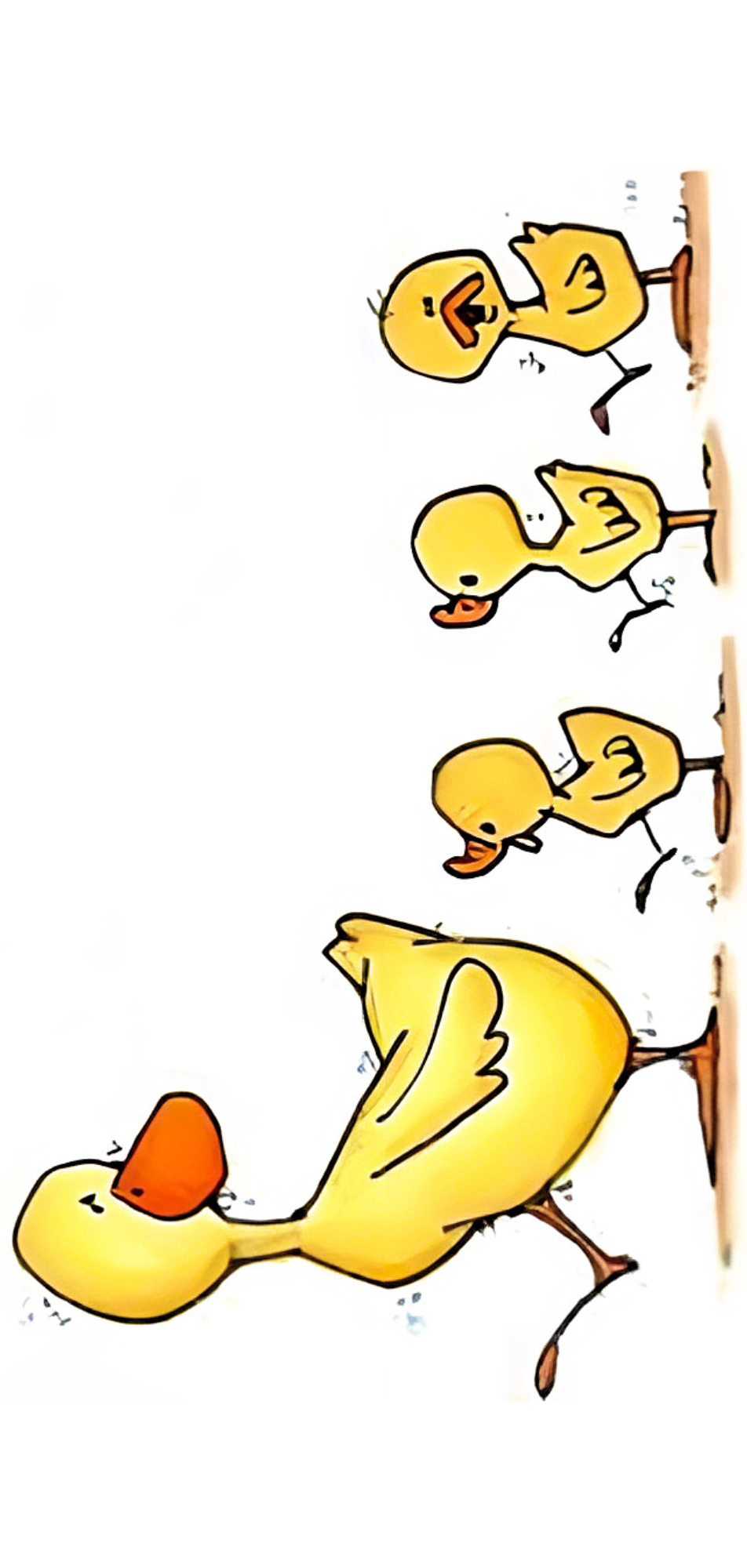 Cards 210*100