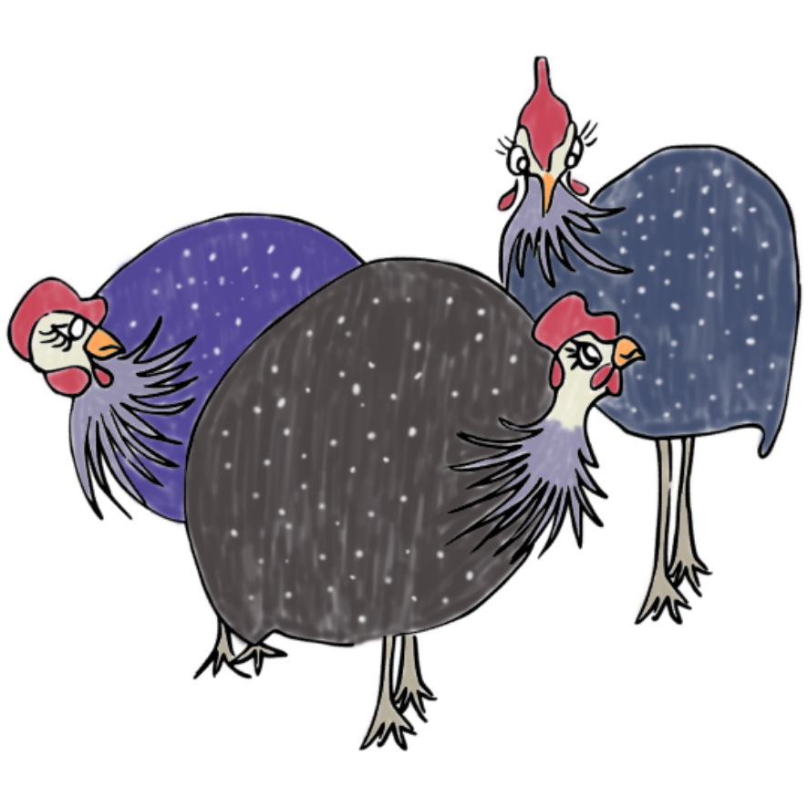 Cards 125*125