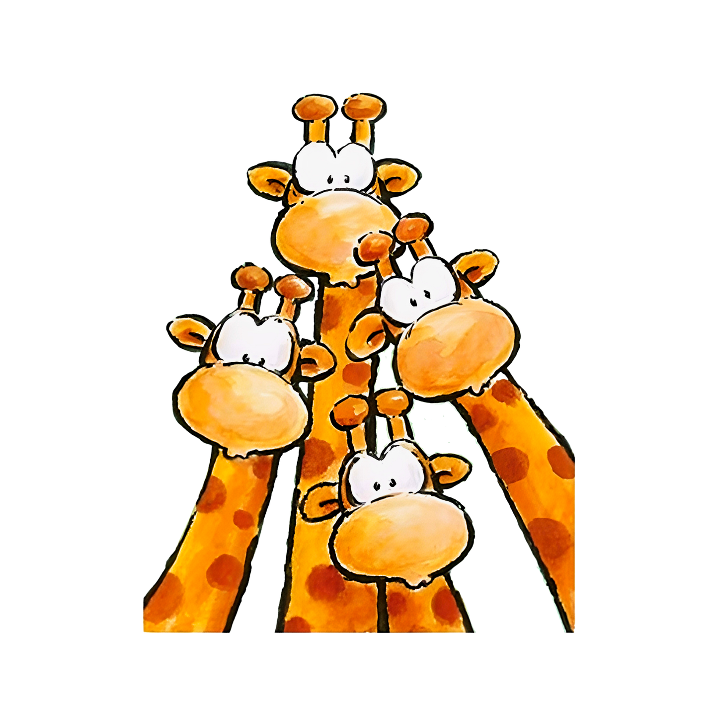 Cards C6