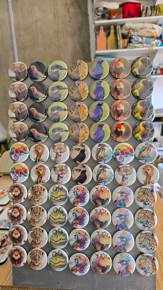 Assorted button magnets